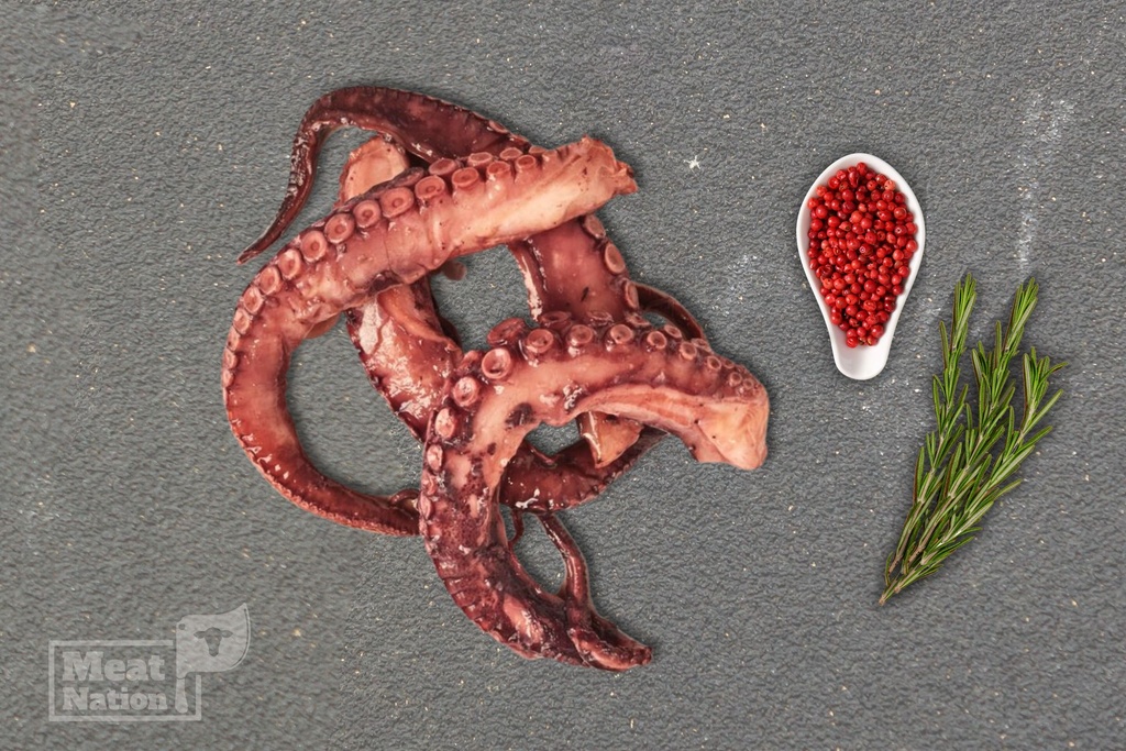 Tentaculo Precocido de Pulpo